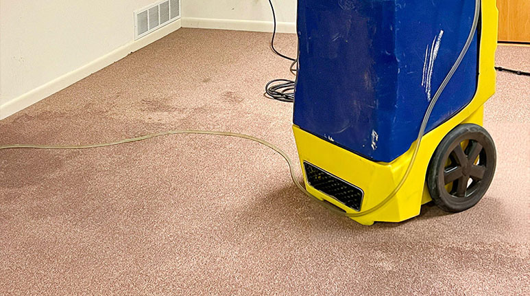 Flood Damage Restoration Adelaide