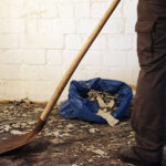 The Ultimate Guide to Flood Damage Restoration in Adelaide