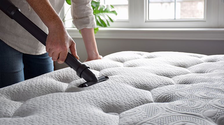 Mattress Cleaning Adelaide