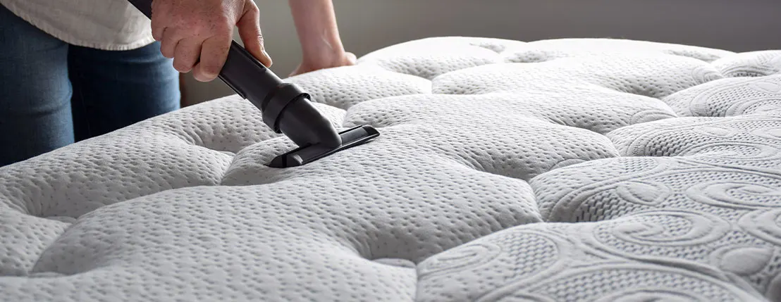 Mattress Cleaning Adelaide
